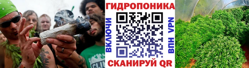 Каннабис марихуана Каспийск